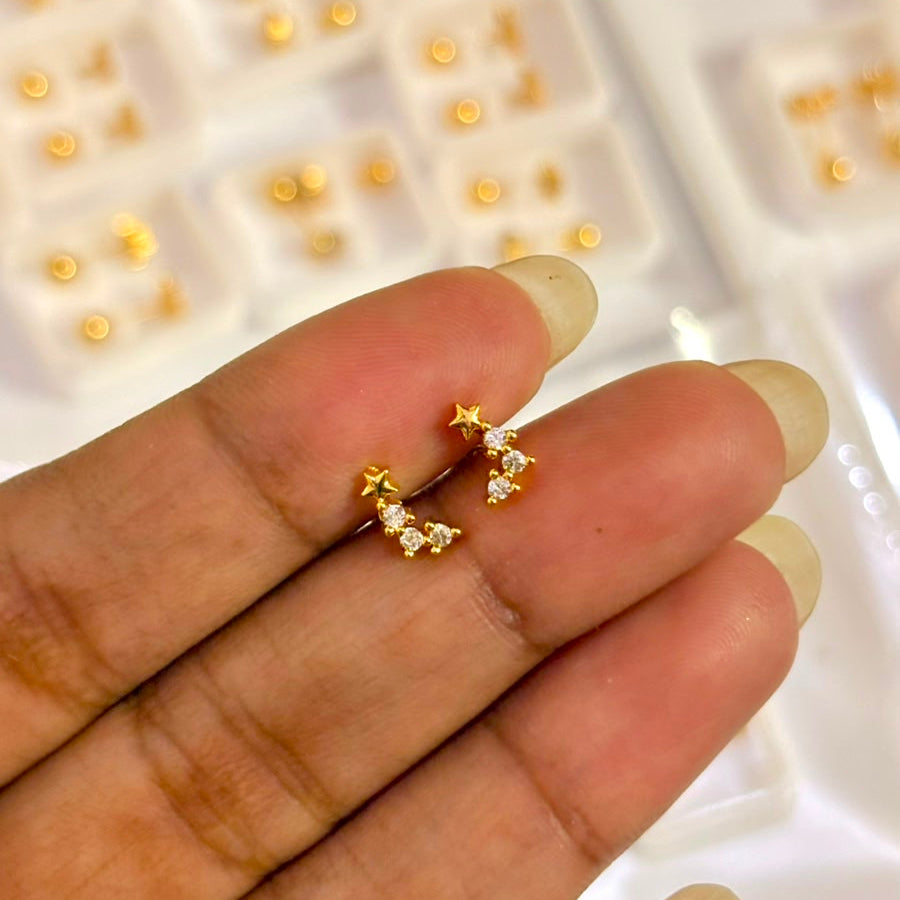 Dolphin Stud Earring