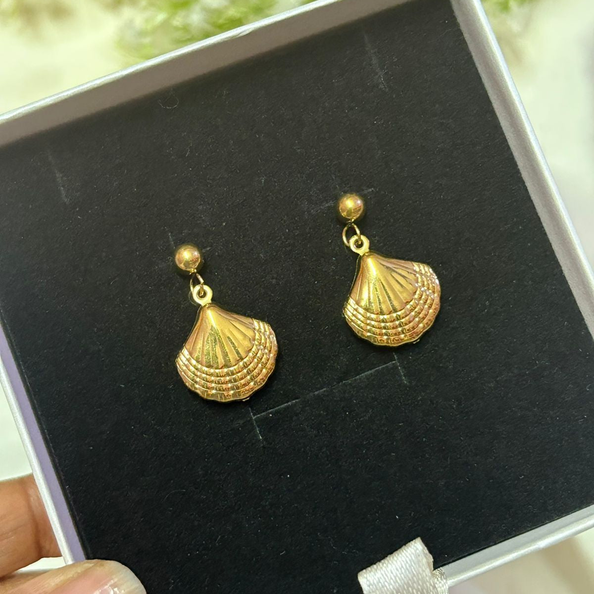 Sea Shell Earrings